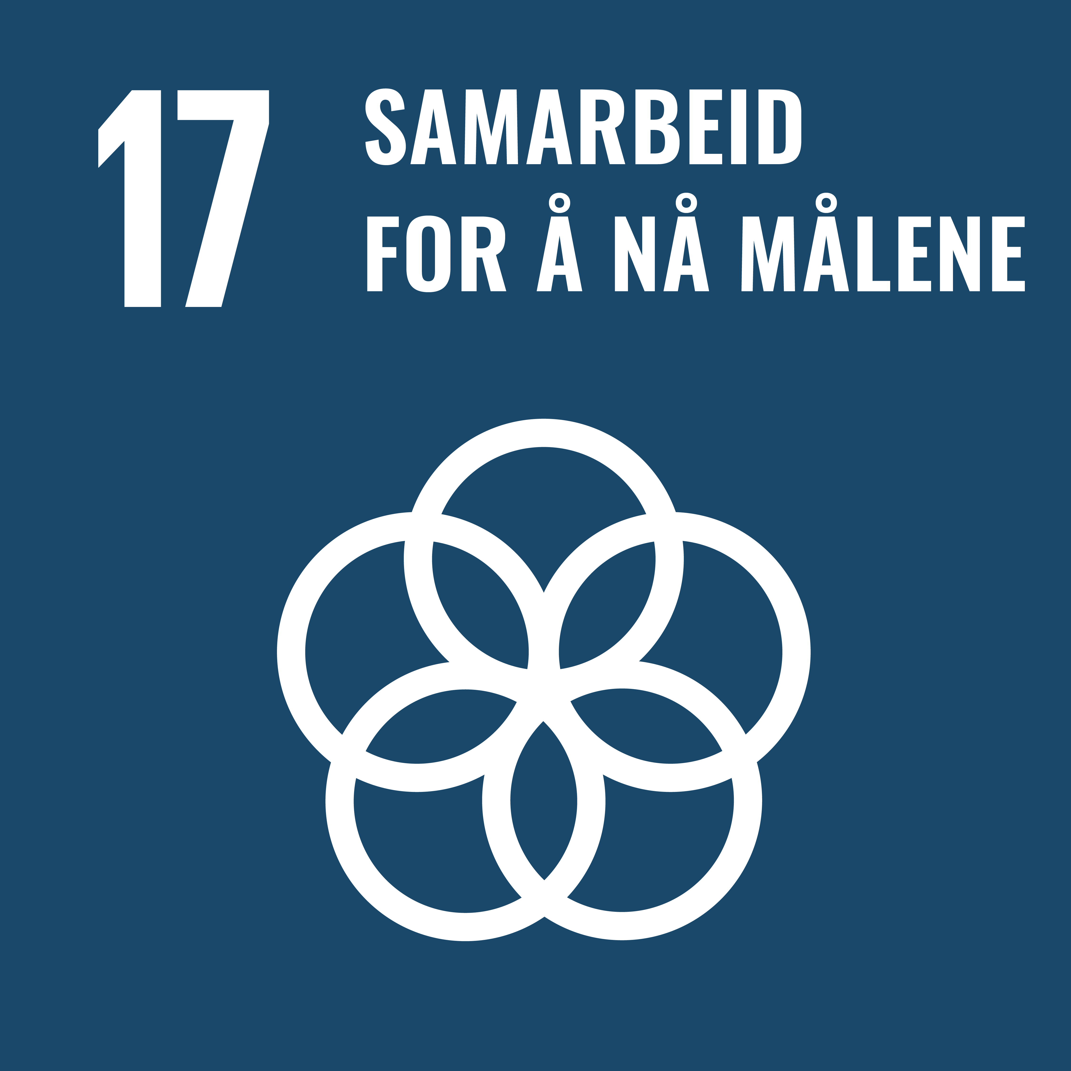 Logo for bærekraftsmål 17